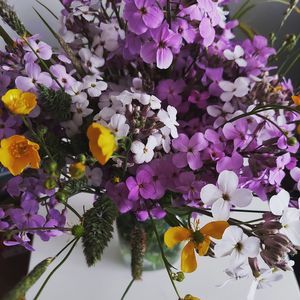 Meet your Posher, Kavira